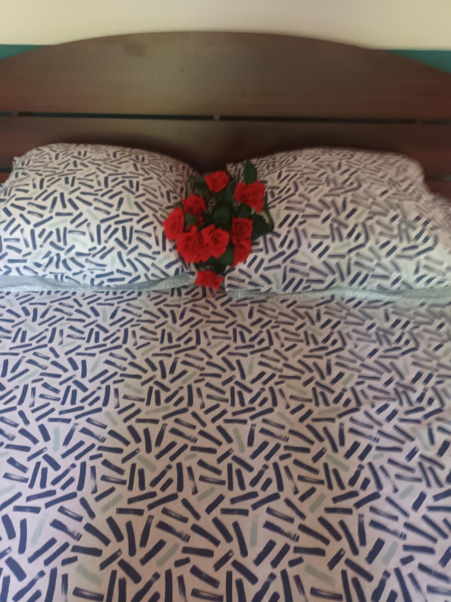 Lovely Flowers In Mount Lavinia Dehiwala-Mount Lavinia Ngoại thất bức ảnh