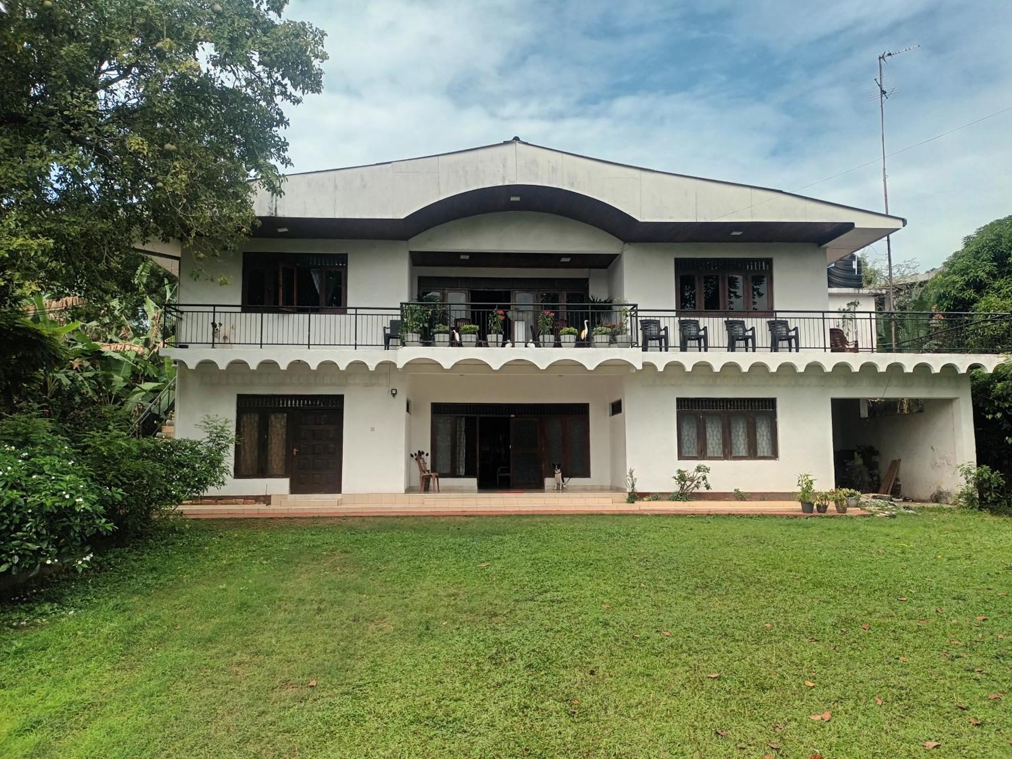 Lovely Flowers In Mount Lavinia Dehiwala-Mount Lavinia Ngoại thất bức ảnh