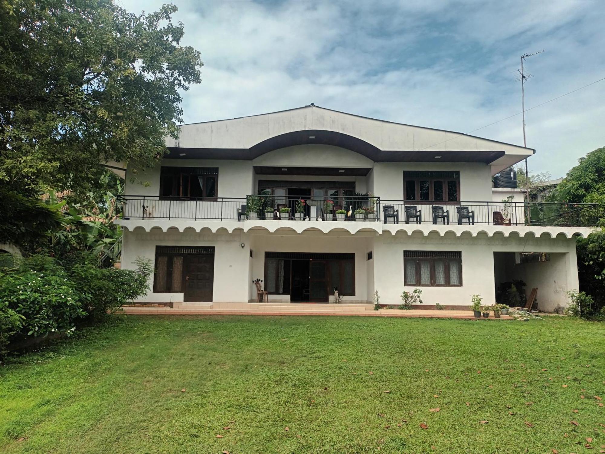 Lovely Flowers In Mount Lavinia Dehiwala-Mount Lavinia Ngoại thất bức ảnh