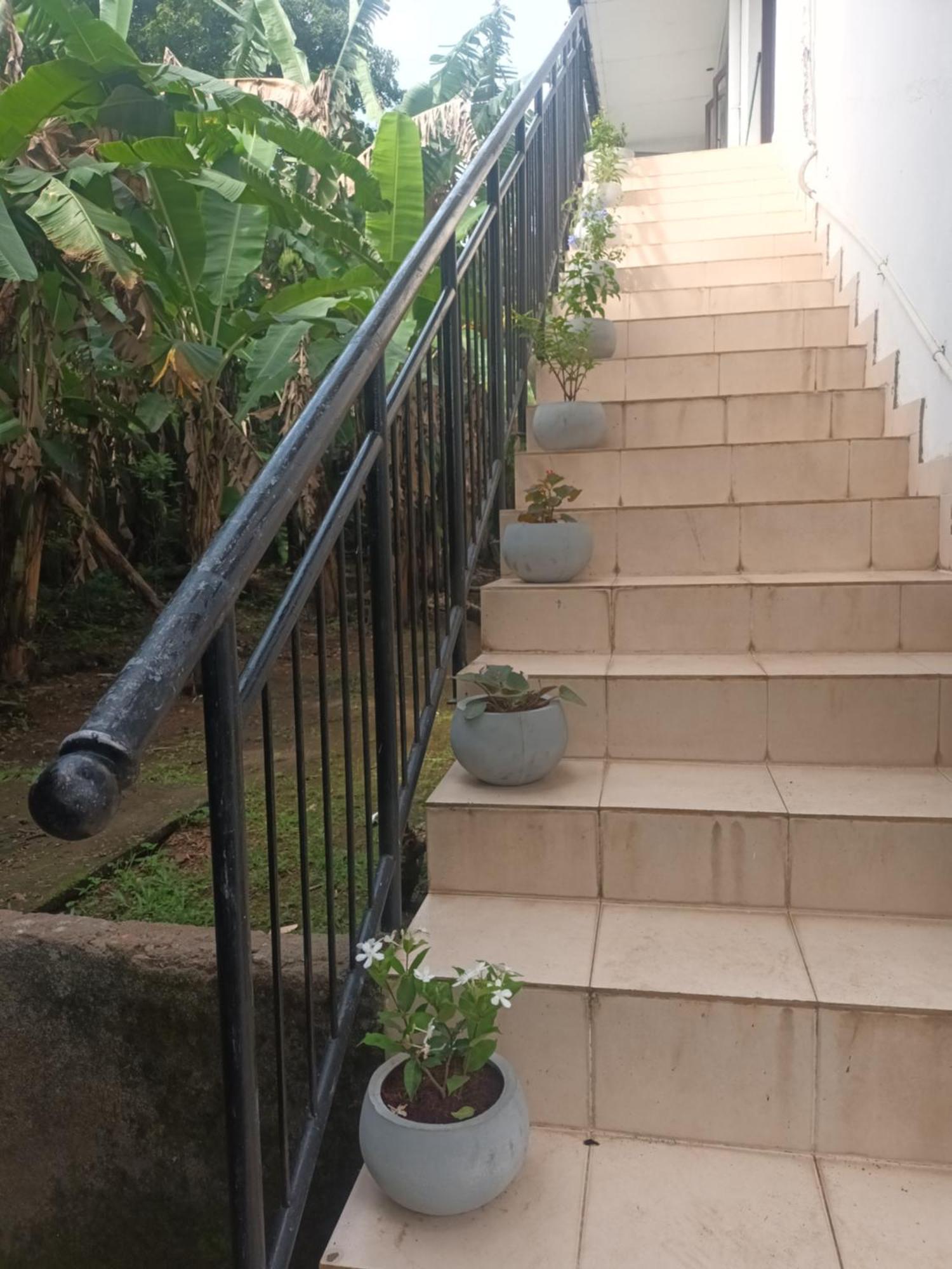 Lovely Flowers In Mount Lavinia Dehiwala-Mount Lavinia Ngoại thất bức ảnh