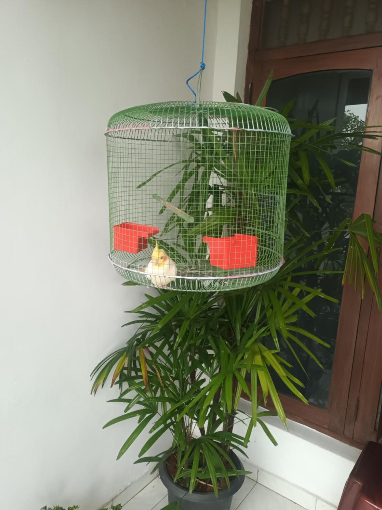 Lovely Flowers In Mount Lavinia Dehiwala-Mount Lavinia Ngoại thất bức ảnh