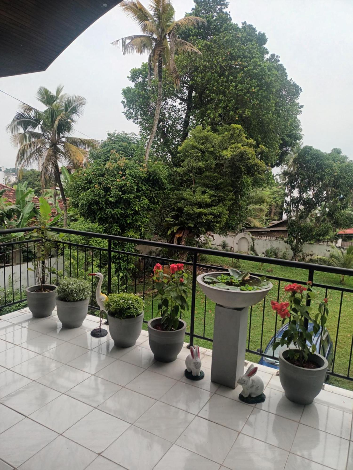 Lovely Flowers In Mount Lavinia Dehiwala-Mount Lavinia Ngoại thất bức ảnh