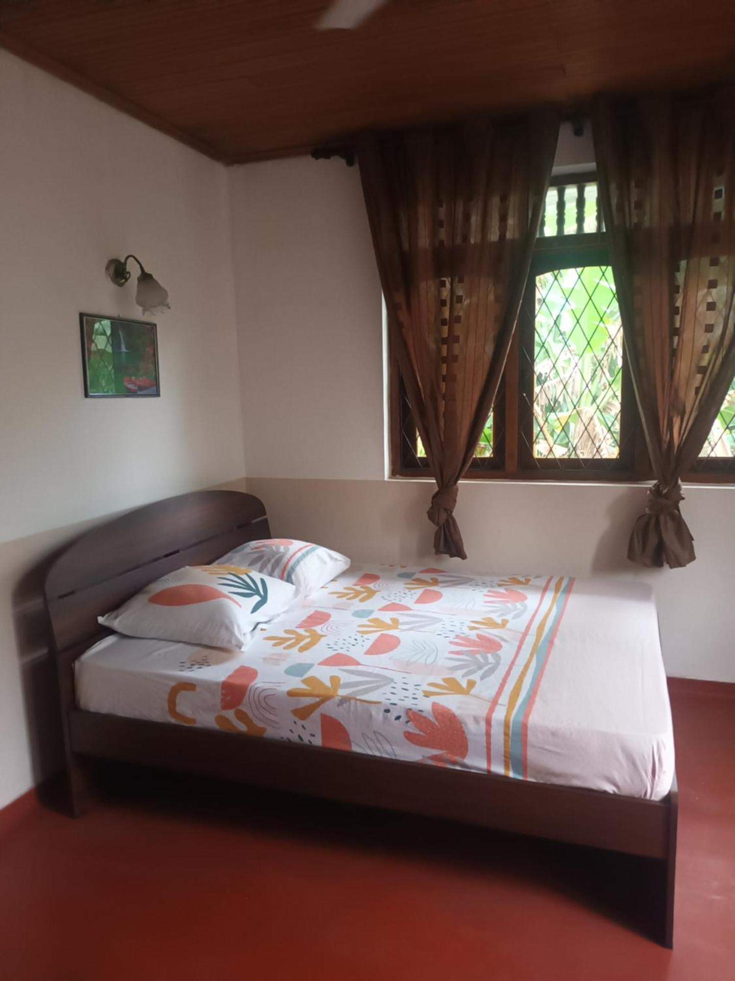 Lovely Flowers In Mount Lavinia Dehiwala-Mount Lavinia Ngoại thất bức ảnh