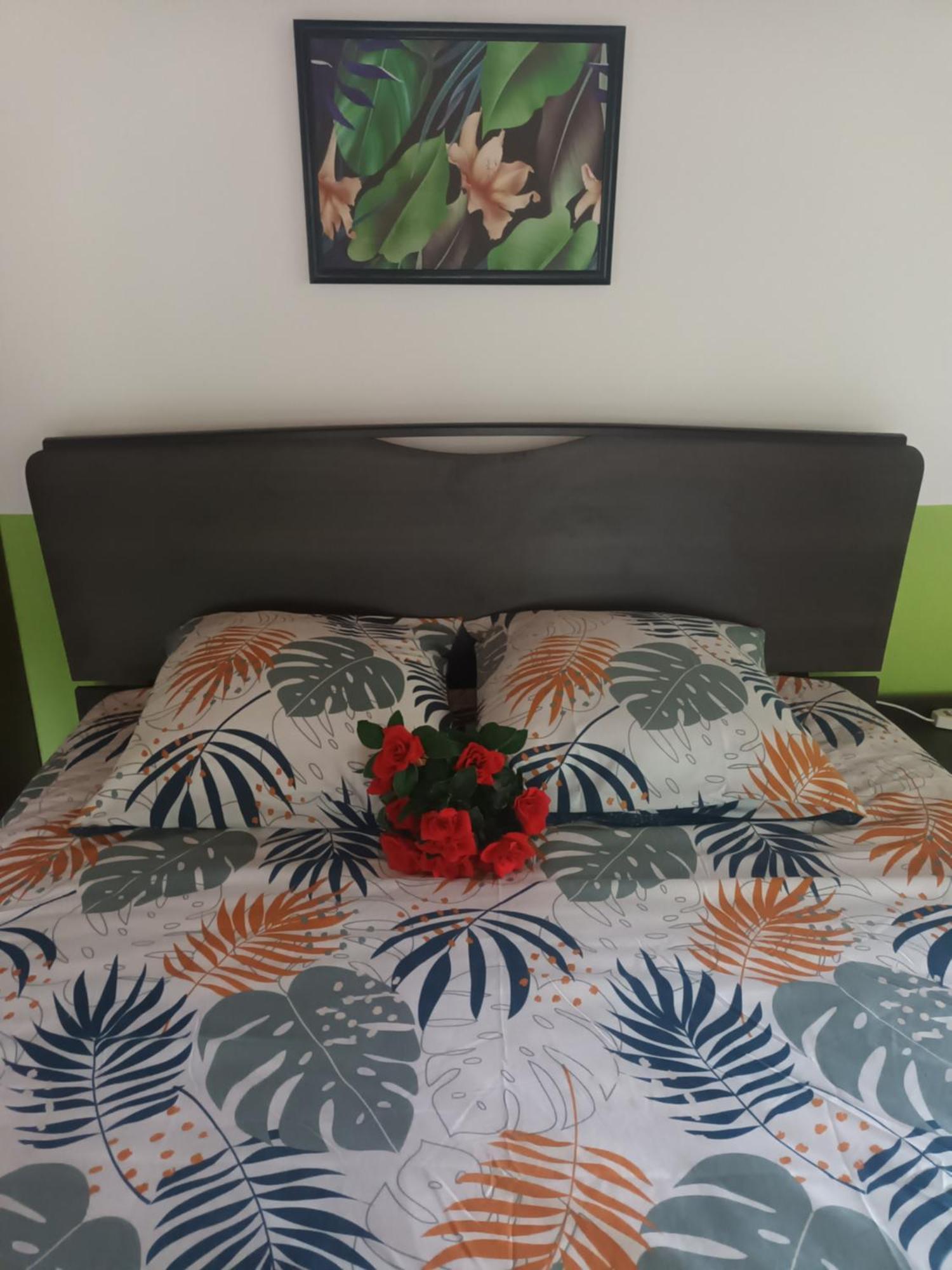 Lovely Flowers In Mount Lavinia Dehiwala-Mount Lavinia Ngoại thất bức ảnh