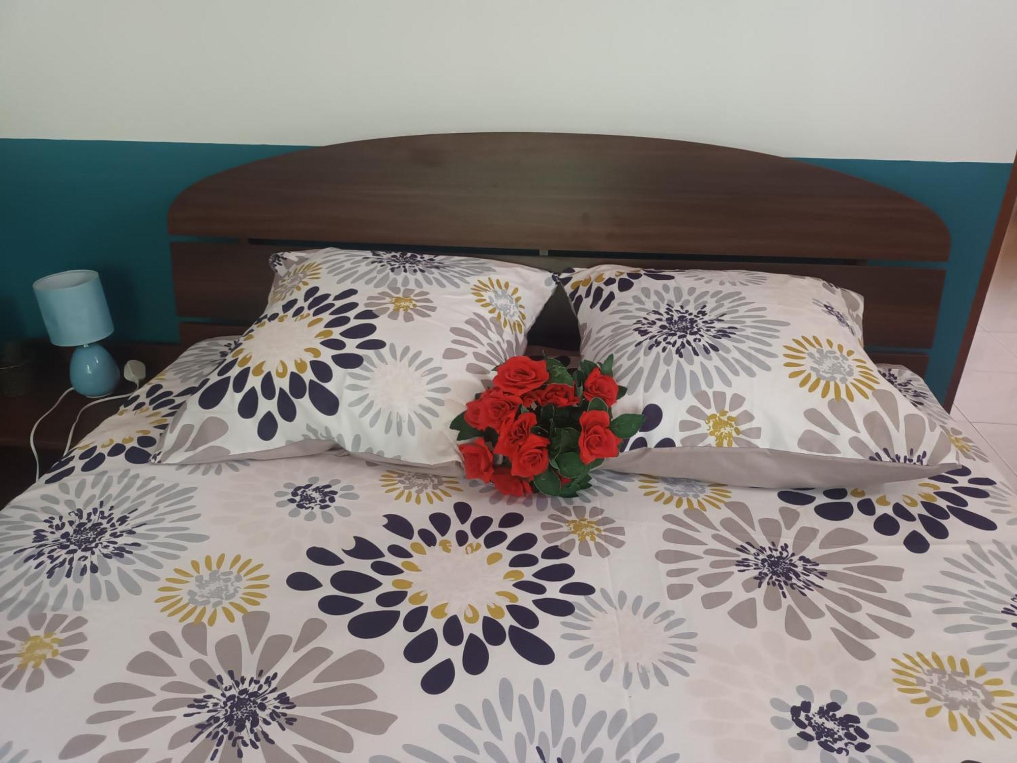 Lovely Flowers In Mount Lavinia Dehiwala-Mount Lavinia Ngoại thất bức ảnh