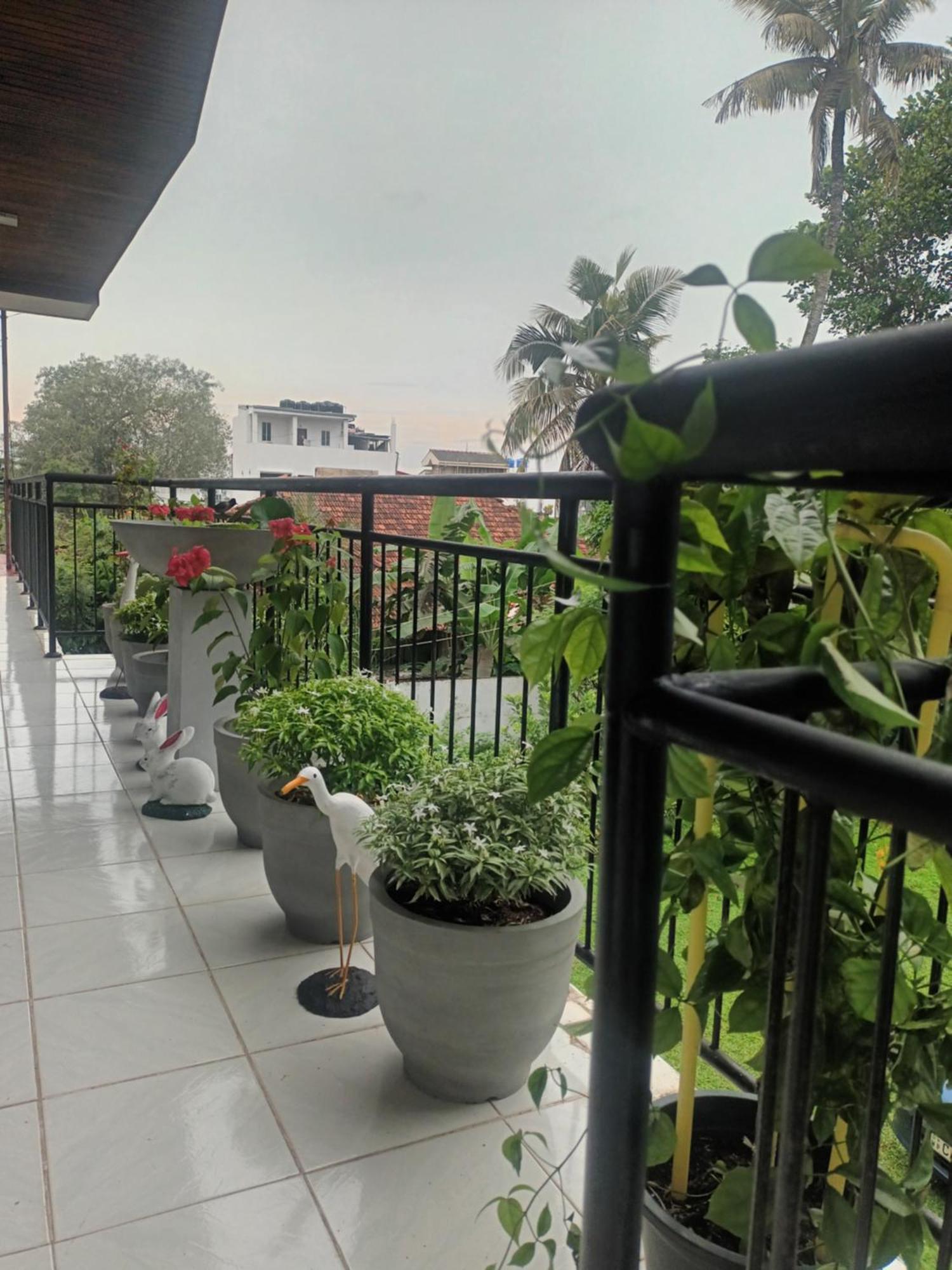 Lovely Flowers In Mount Lavinia Dehiwala-Mount Lavinia Ngoại thất bức ảnh